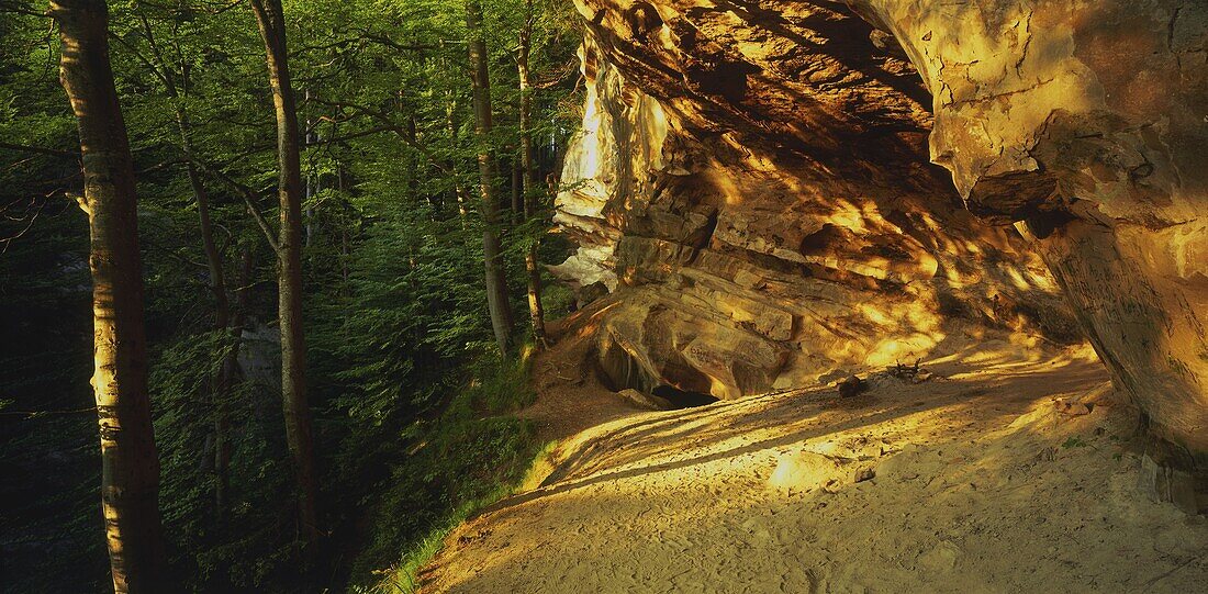 Ammerhöhlen bei Peiting, Oberbayern, Deutschland