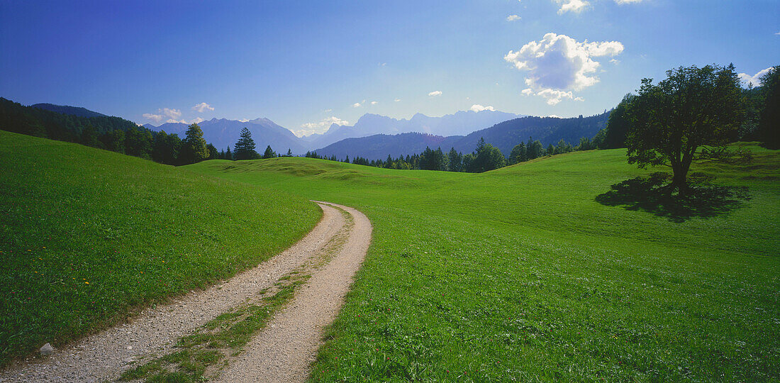 Footpath through meadows, Upper Bavaria, Germany