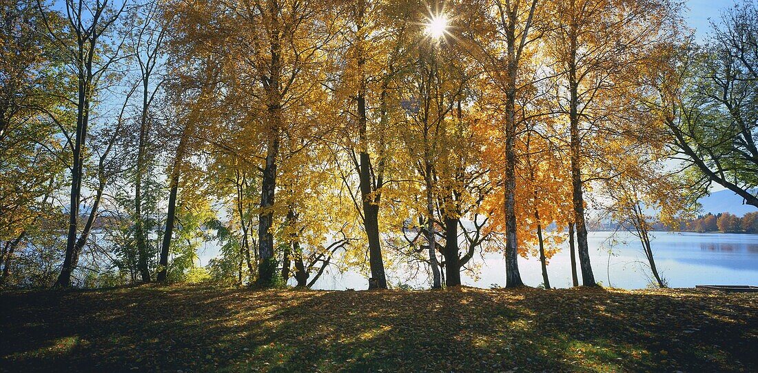 Staffelsee, Upper Bavaria, Germany