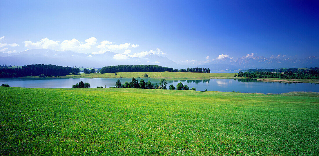 Landschaft am Forggensee, Oberbayern, Deutschland