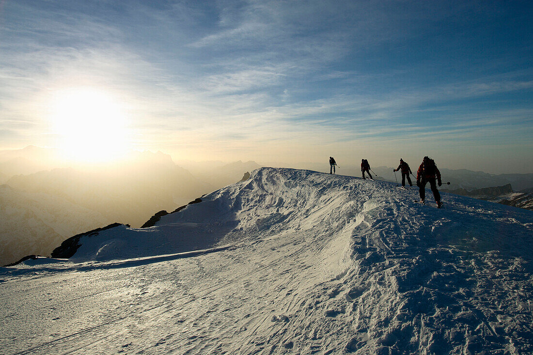 Vier Skifahrer fahren in Richtung eines Gipfels und die Abendsonne. Titlis, Zentralschweiz, Schweiz, Alpen, Europa, MR