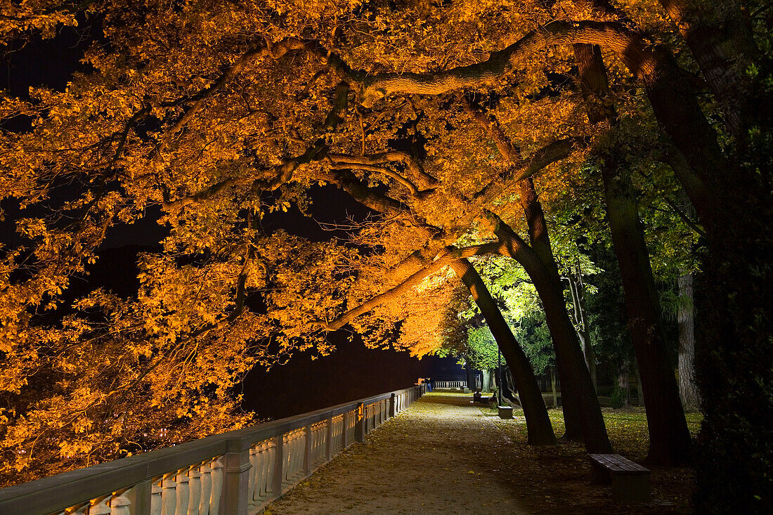 Schlossgarten bei Nacht, Heidelberg, Baden-Württemberg, Deutschland