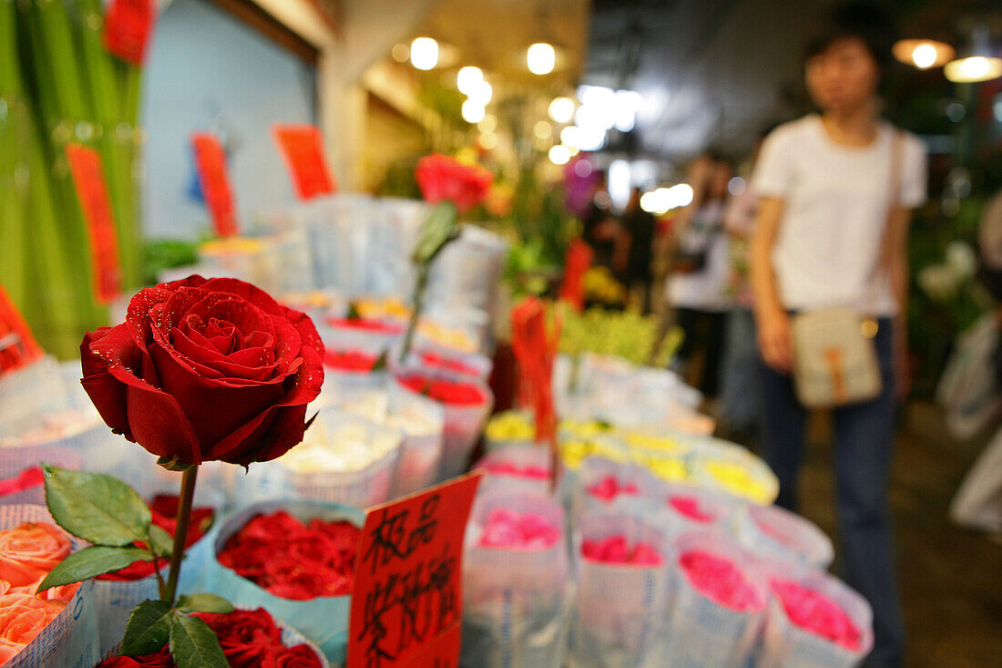 flower market,Blumenmarkt, Wenhua Guangshan, near Shaanxi Nanlu, flowers, flower market, floral, rose, plant, Markt, Markthalle, alt, old, rote Rose, red roses