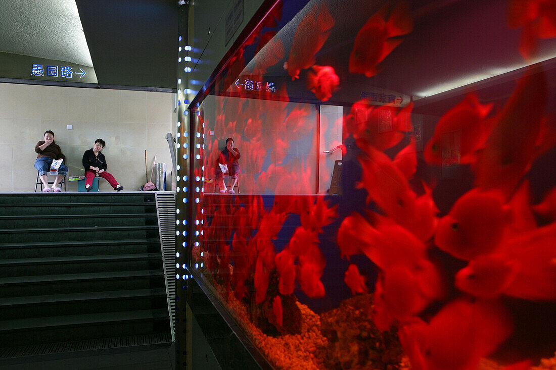 aquarium pedestrian tunnel, cleaning ladies, Shanghai