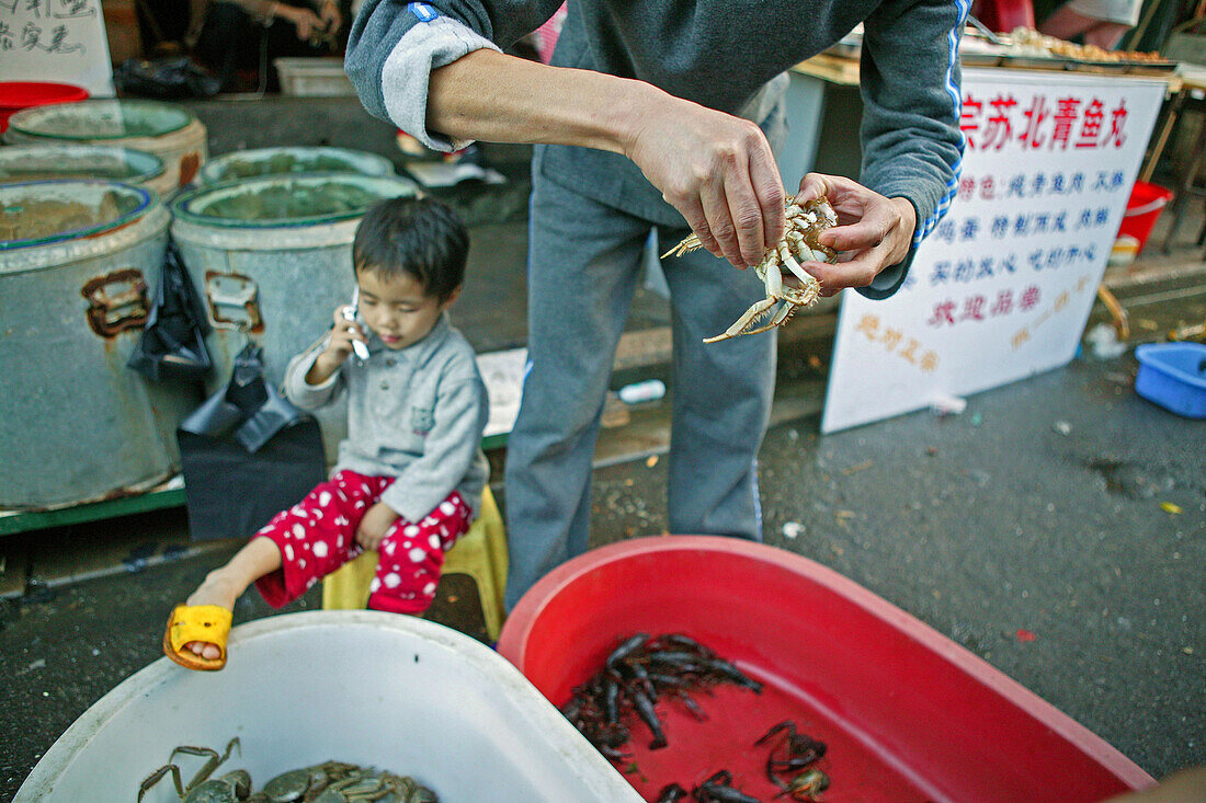 mobile phone, child of a seafood salesman plays with a mobile phone, crab, shrimps