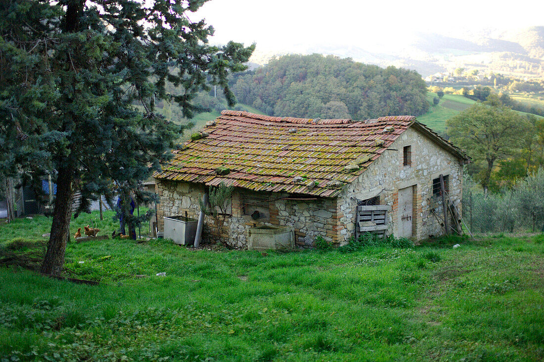 Stall, Umbrien, italien