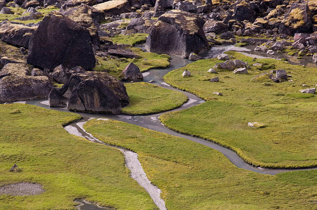 View over fairy meadows, Cirque of the Unclimbables, North-West Territories, Canada