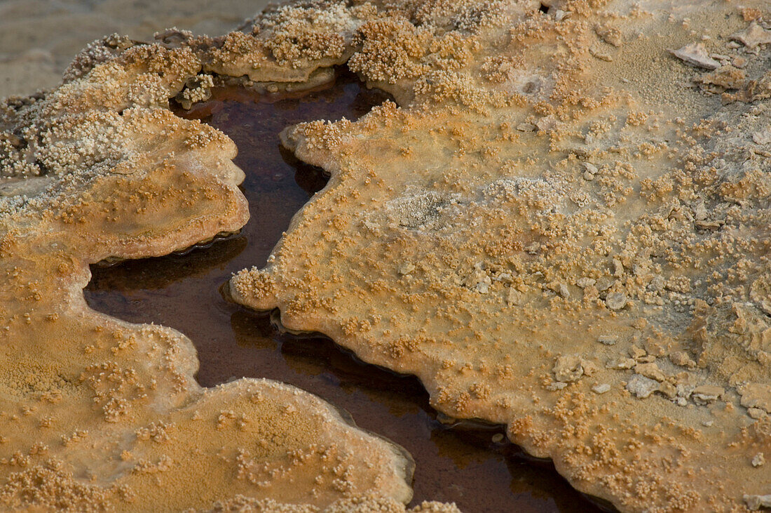 Rabbitkettle Hotspring, South Nahanni River, Northwest Territories, Canada