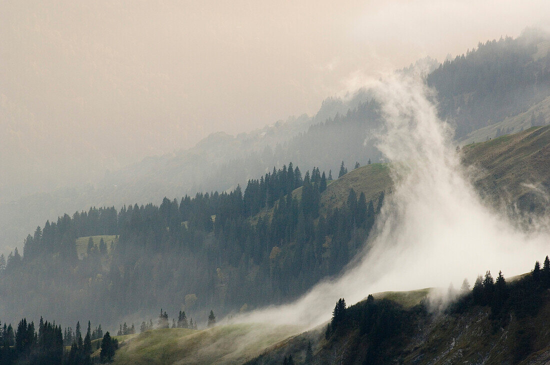 Blick von der Kichlispitze auf Wald, Wiesen mit Nebelschwaden