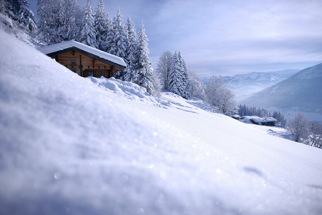 Wooden cabin in snow, Nieding, Brixen im Thale, Tyrol, Austria