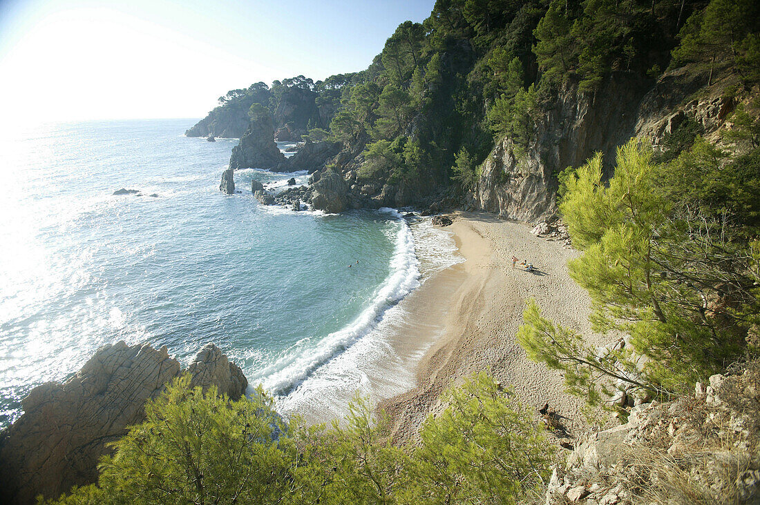 Costa Brava,Beach at Cap Roig near Calella, Costa Brava, Catalonia Spain