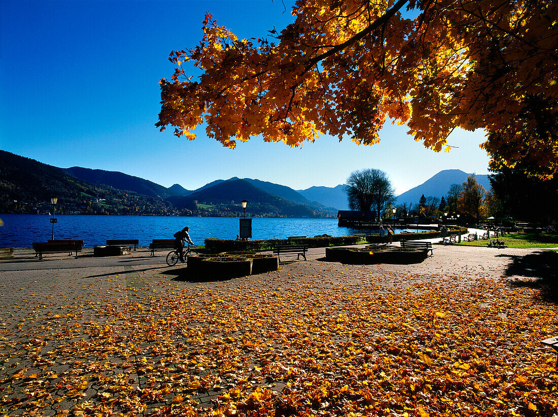 Autumnal landscape at Lake Tegernsee, Bad Wiessee, Upper Bavaria, Germany