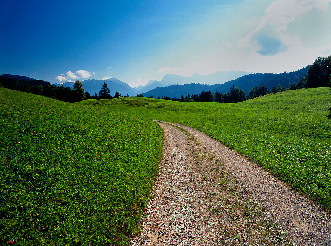 Path through meadows, Werdenfelser Land, Upper Bavaria, Germany