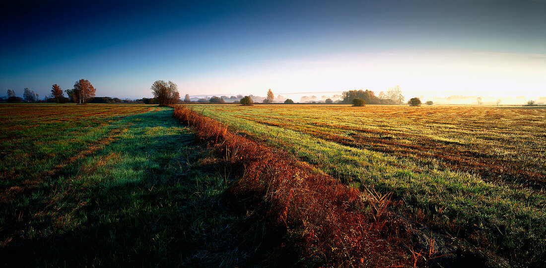 Meadows near Diessen, Upper Bavaria, Germany