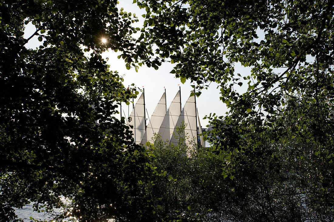 Sailing boats on lake Aussenalster, river Alster, Hamburg, Germany