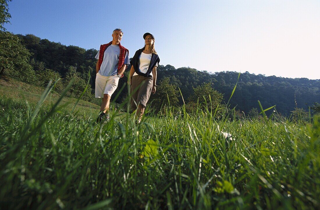 Wandern, Überlingen, Bodensee, Bayern, Deutschland, Europa