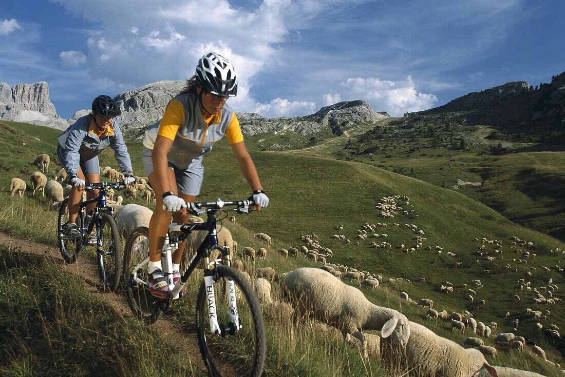 Mountainbikers, Passo Pordoi, Dolomites, Italy, Europe