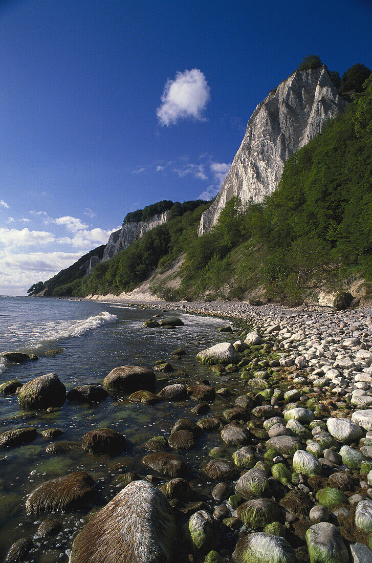White chalk cliffs of the island of Ruegen, Meckenburg Vorpommern, Germany