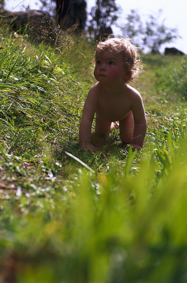 Baby krabbelt durch Garten