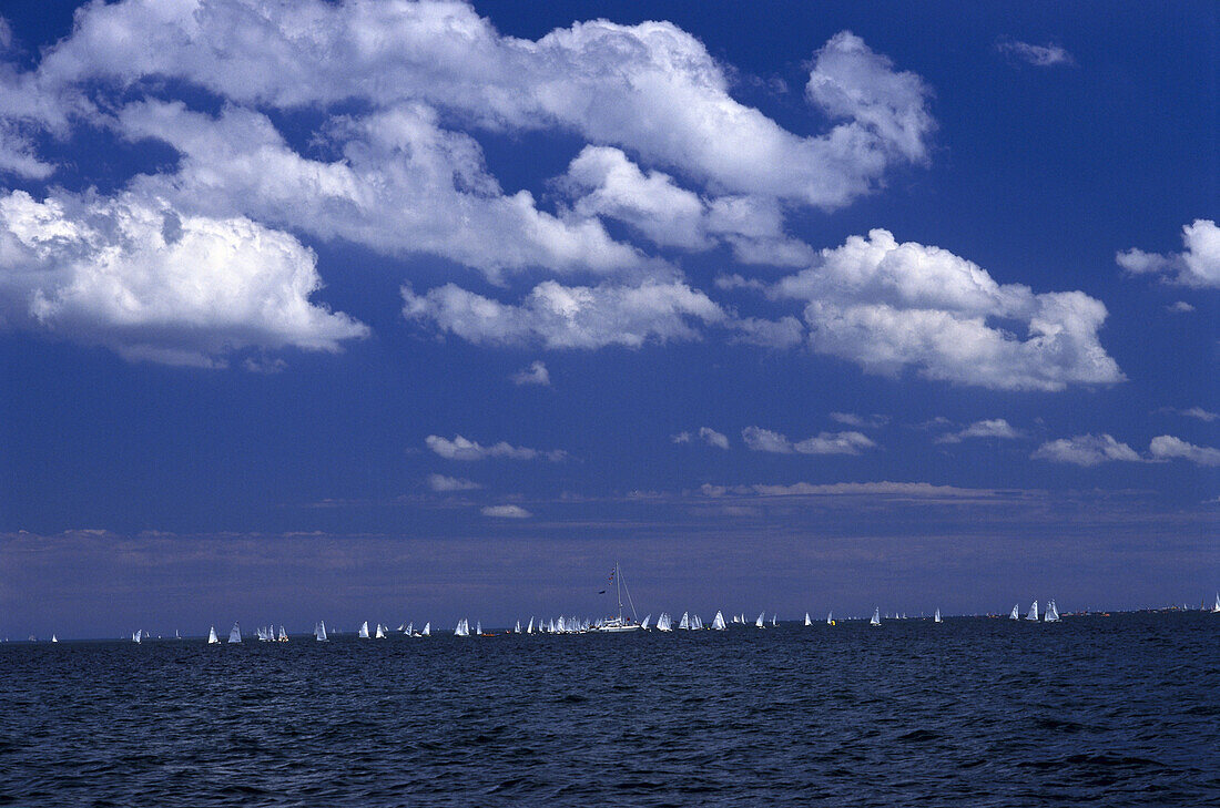 Sailing regatta, Kieler Woche, Foerde, Kiel, Schleswig Holstein, Germany