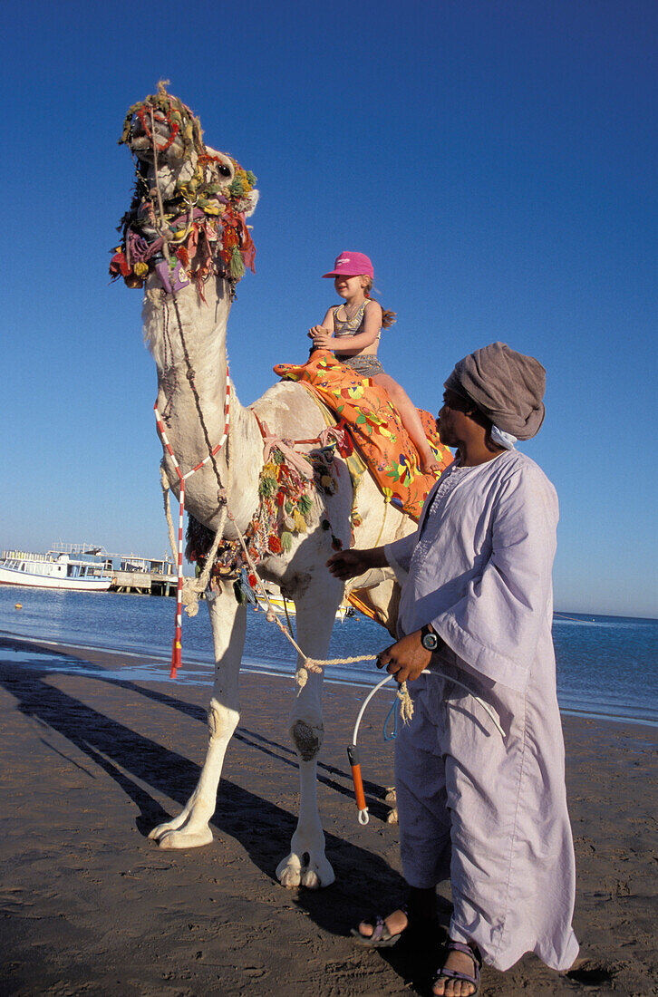 Kamelreiten, Strand am Dorf Giftun, Hurghada, Rotes Meer, Ägypten