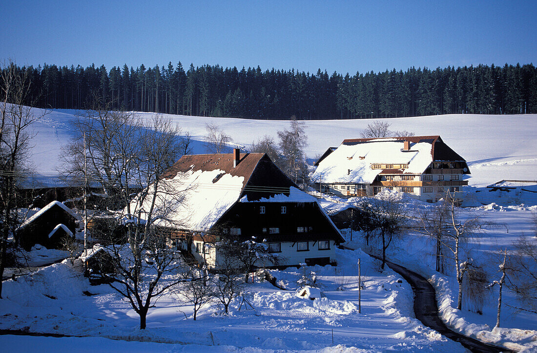 Typisches Bauernhaus bei Vöhrenbach, Schwarzwald, Baden-Württemberg, Deutschland