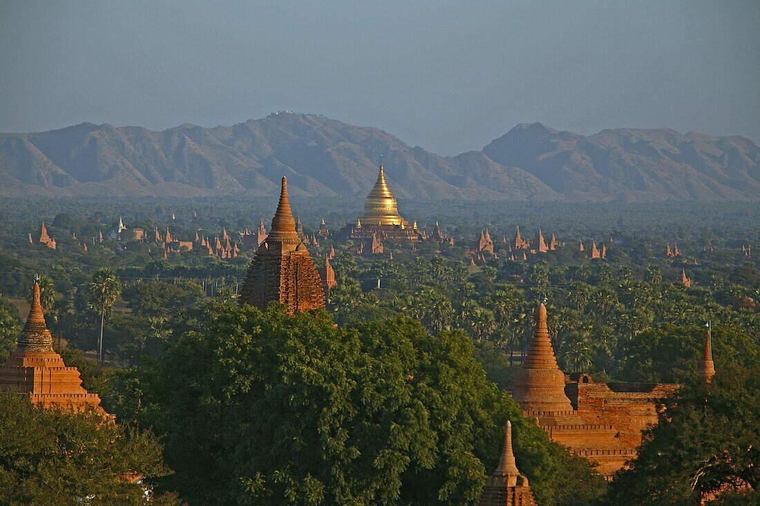 Sunset over Bagan's ruins, Sonnenuntergang, Ruinenfeld von Bagan im Abendlicht, ruins of Bagan, stupas and temples, Weltkulturerbe, Ruinenfeld