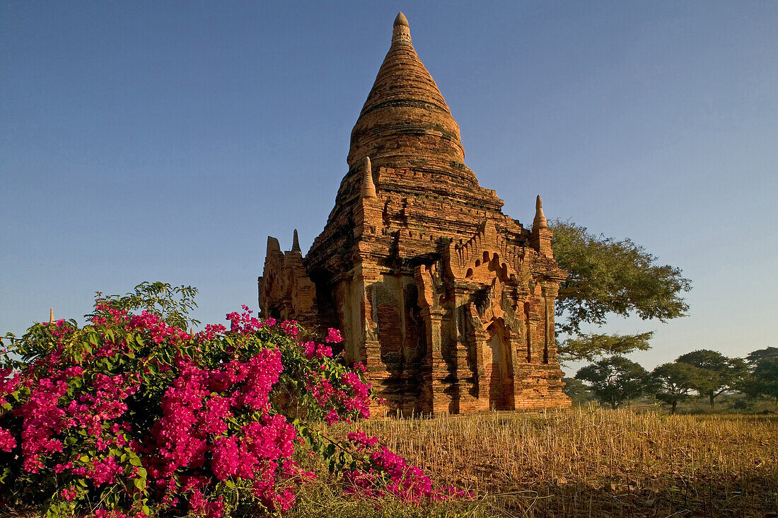 Burmese pagoda ruin of Bagan, Myanmar