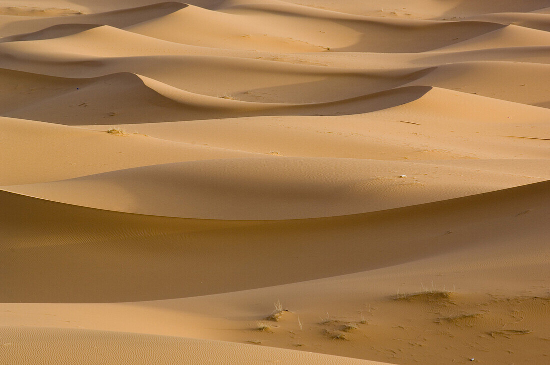 Sand dunes, Erg Chebbi, Morocco