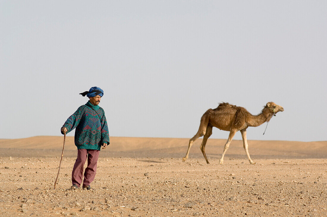 Camel driver, Erg Chebbi, Morocco