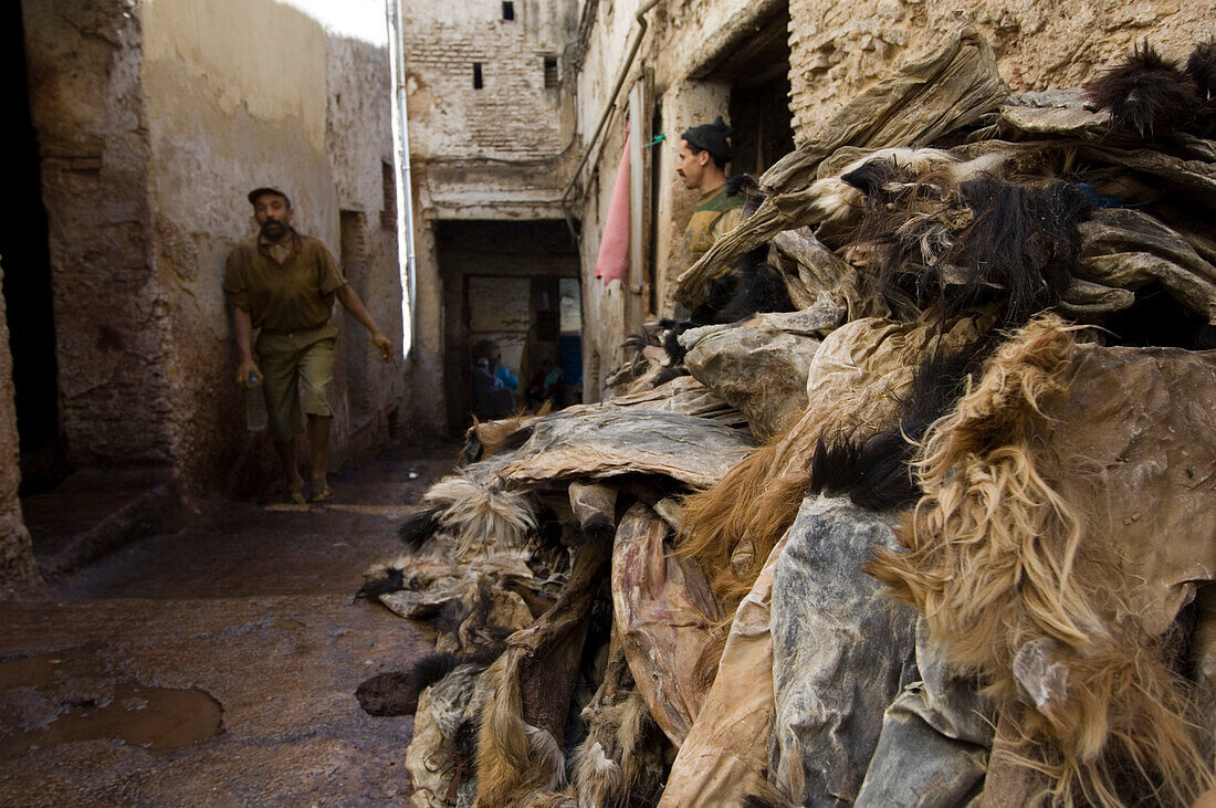 Furs in tanners quarter, chouara, Fes, Morocco