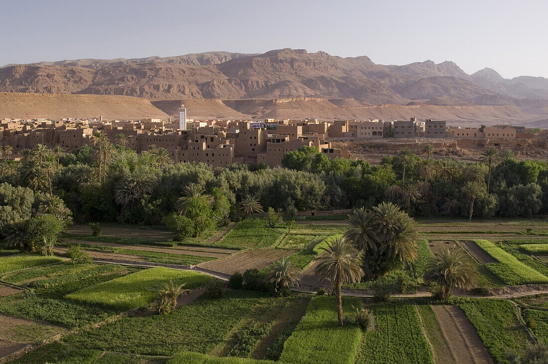 Gardens and village of Tinerhir, Todra gorge, Morocco
