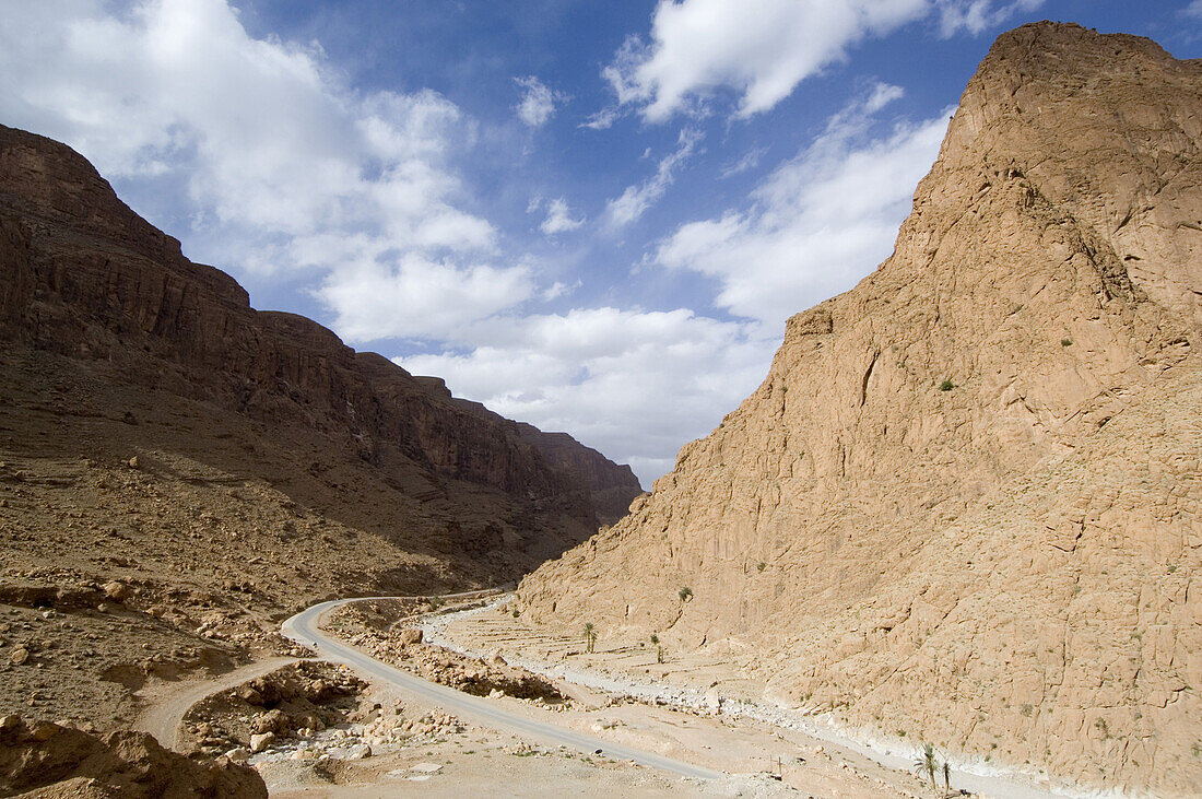 Gorges du Todra, Todra gorge, Morocco