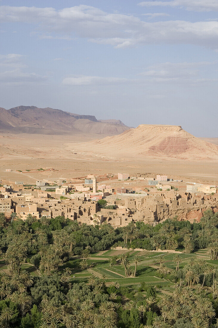 Gardens and village of Tinerhir, Todra gorge, Morocco