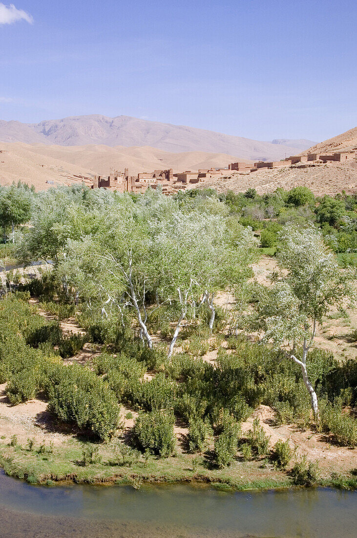 Route of kasbahs, Dades Valley, Morocco