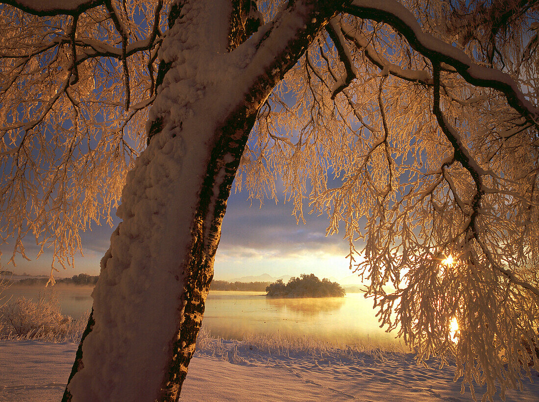 Snow covered landscape, Staffelsee, Upper Bavaria, Germany