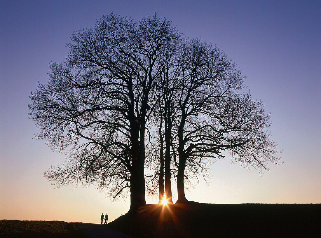 Zwei Menschen stehen unter Bäumen, Peretshofener Höhen, Isarwinkel, Oberbayern, Deutschland