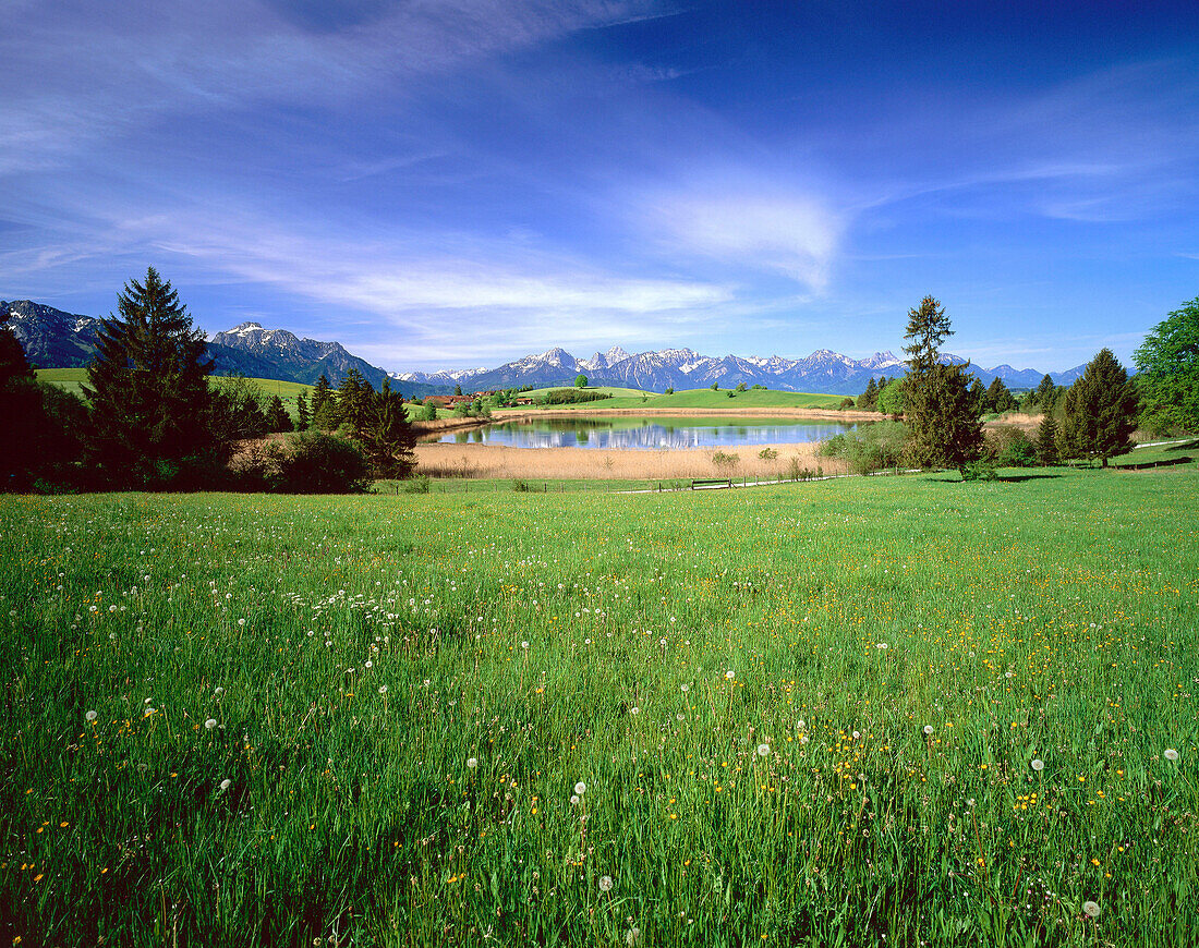 Landschaft am Forggensee, Alpenpanorama, Oberbayern, Deutschland