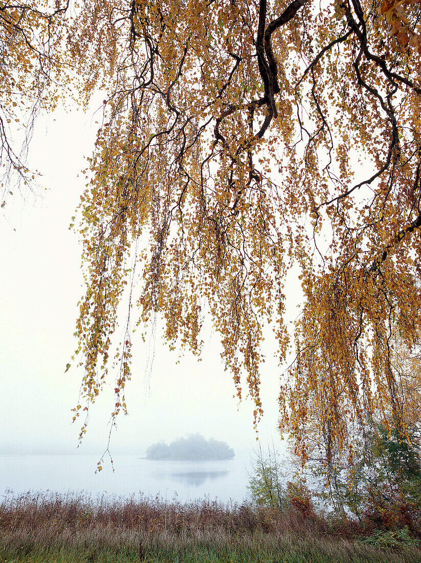 Autumnal landscape at Staffelsee, Upper Bavaria, Germany