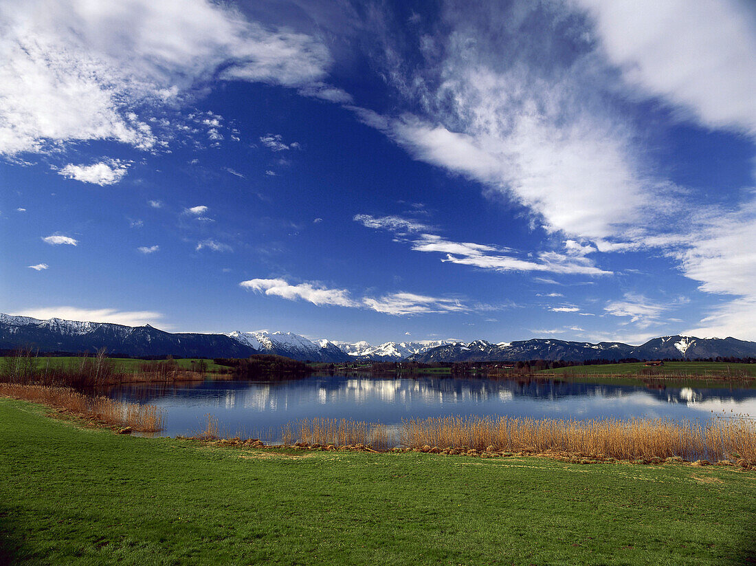 Murnauer Moos, Blaues Land, Oberbayern, Deutschland