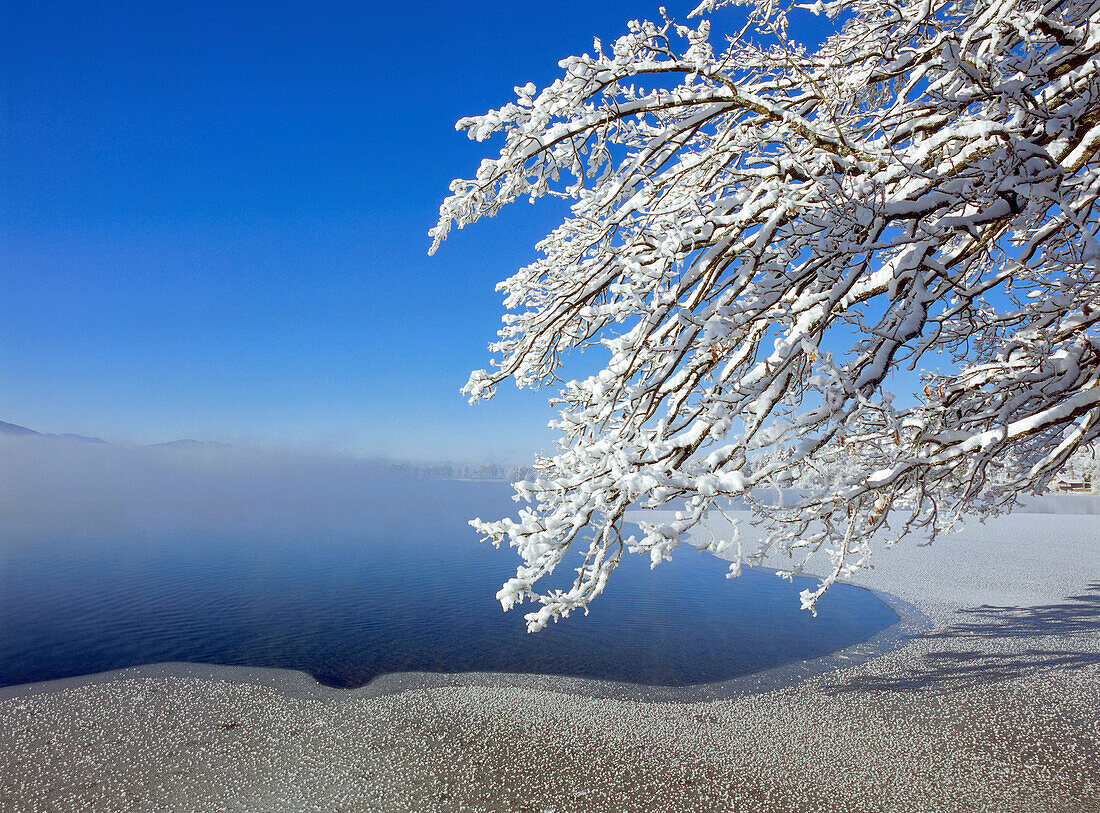 Snow covered landscape, Staffelsee, Upper Bavaria, Germany