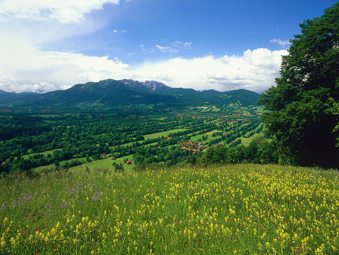 Blick auf Benediktenwand, Isarwinkel, Oberbayern, Deutschland