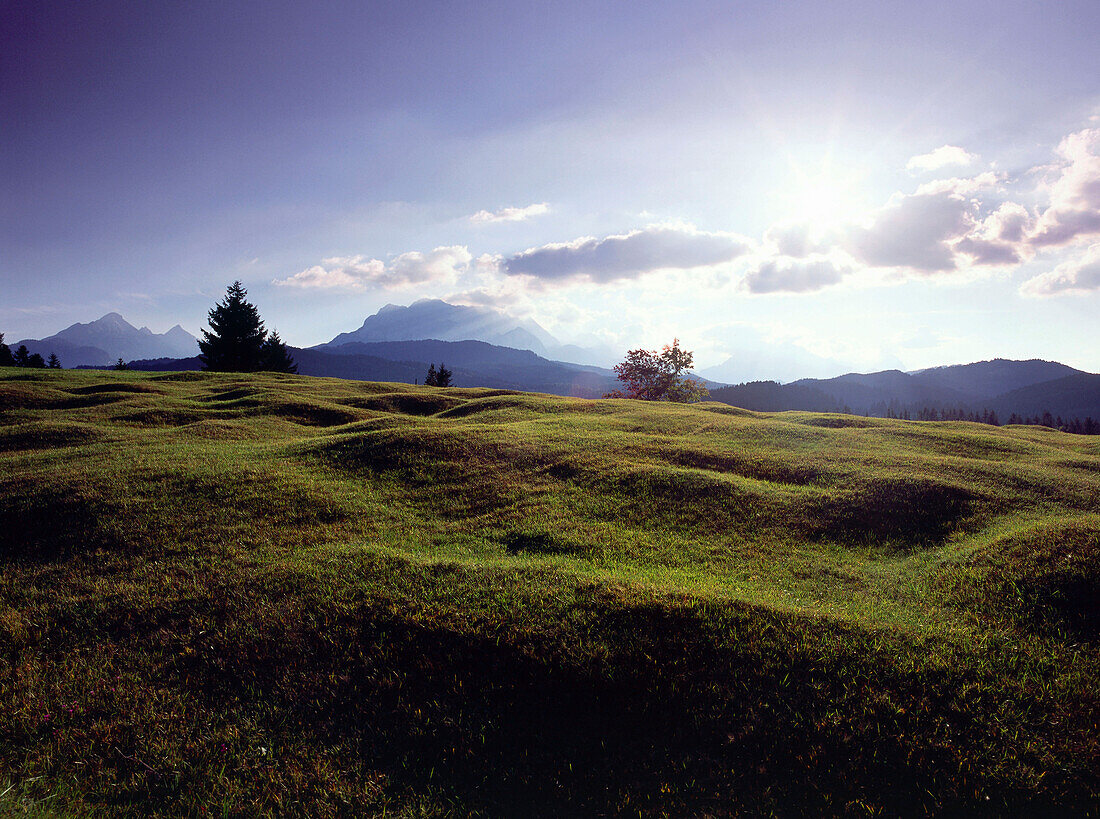 Buckelwiesen bei Mittenwald, Oberbayern, Deutschland