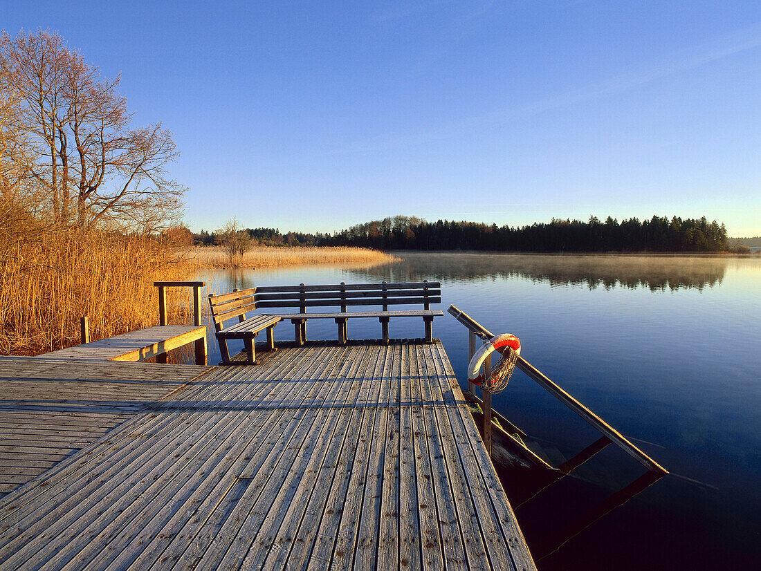Jetty in early morning light, Osterseen, Upper Bavaria, Germany