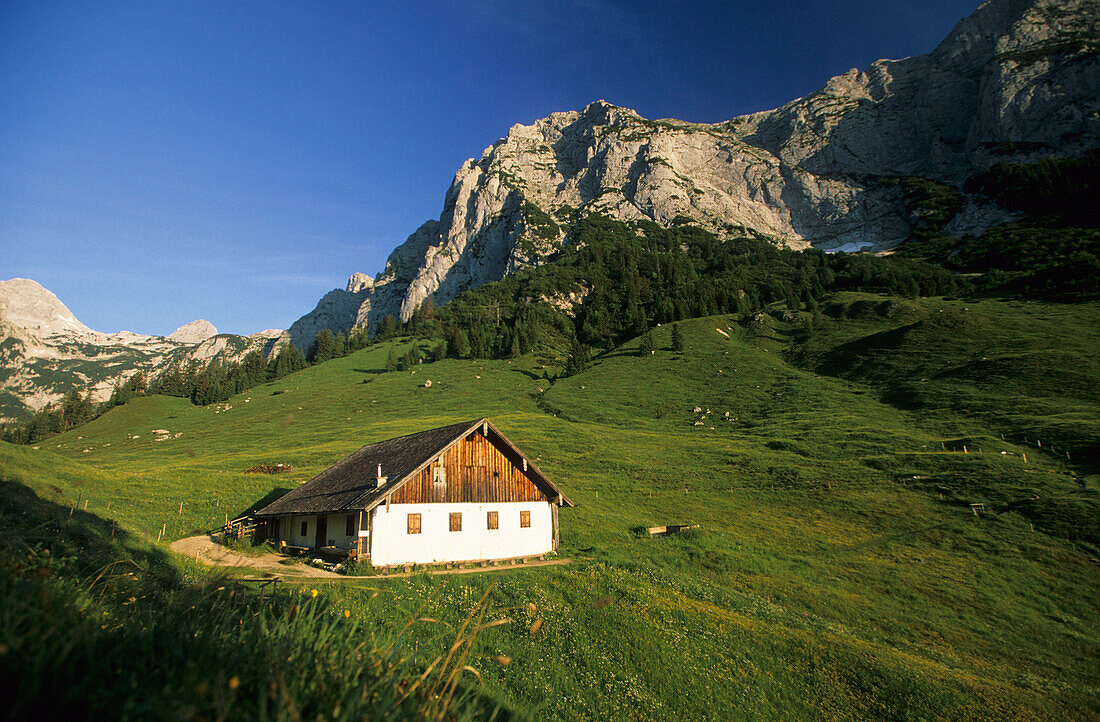 Berghütte hoch in den Bergen, Halsalm, Berchtesgadener Alpen, Oberbayern, Deutschland