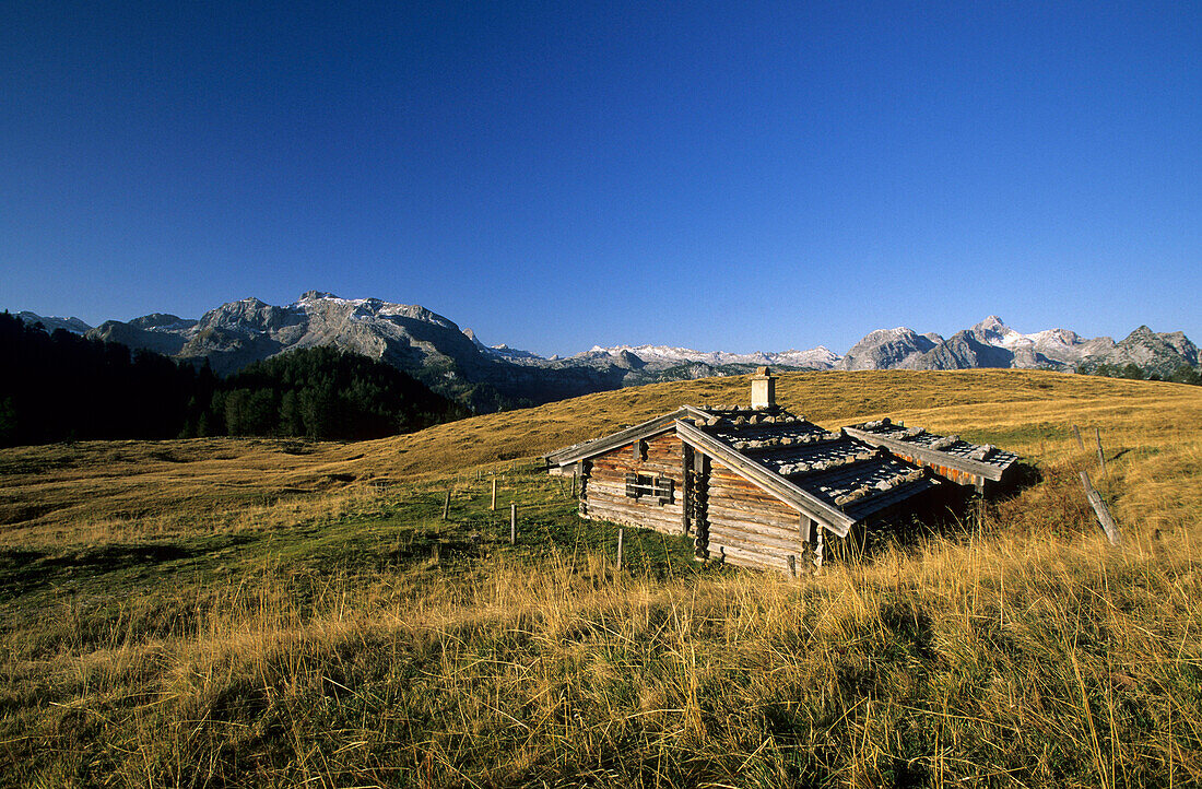 Gotzenalm mit Blick auf das Steinerne Meer, Berchtesgadener Alpen, Oberbayern, Deutschland