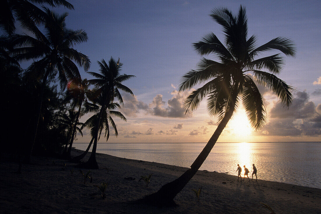 Coconut Tree and Beachcomber Sunset Silhouette,Aitutaki, Cook Islands