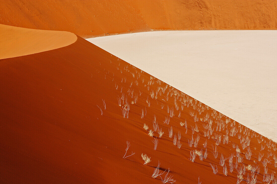 Structures of the desert. Dunes and deadvlei. The dunes of Sossusvlei. Namib desert. Namibia. Africa