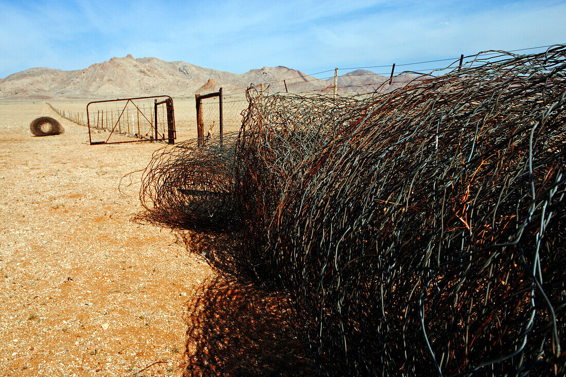 Old disused fence in the desert. It'll be taken down to give the wildlife a chance to migrate. Klein-Aus-Vista. Gondwana Sperrgebiet Rand Park. Succulent Karoo Desert. Southern Namibia. Africa.