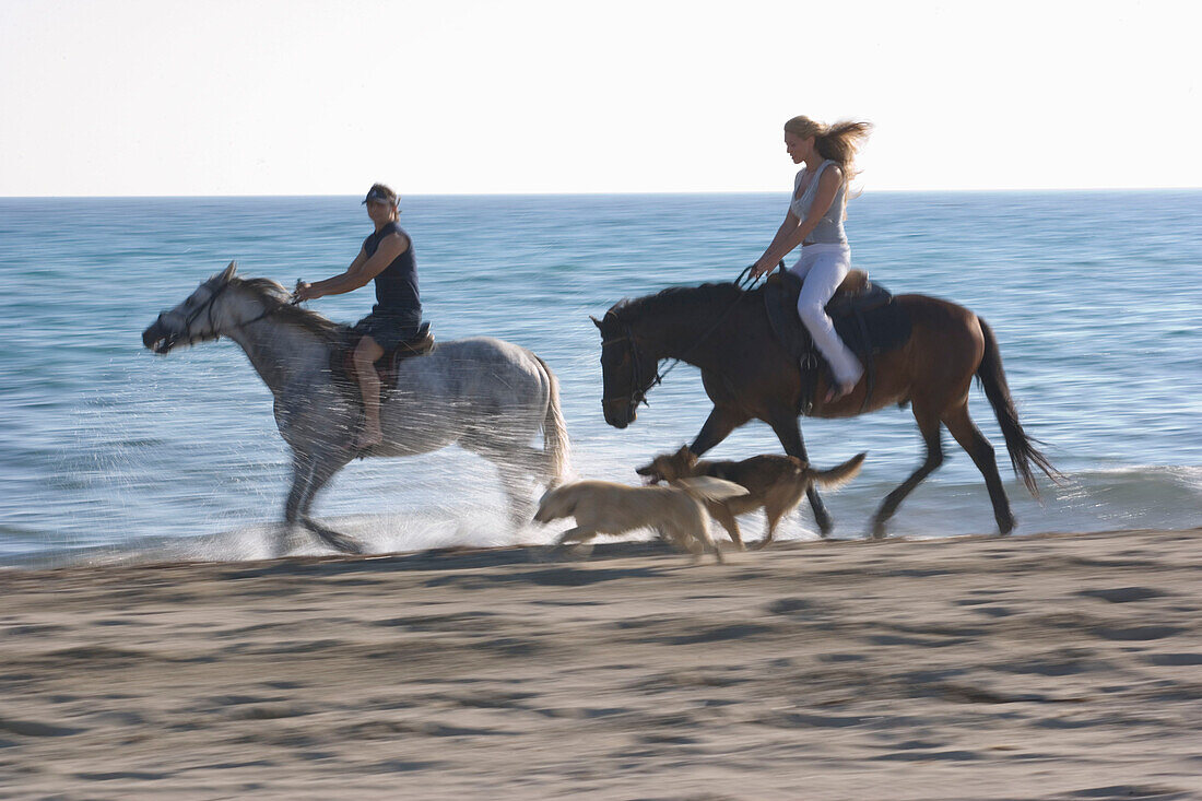 Young couple horseback riding at beach, accompanied by two dogs, Apulia, Italy